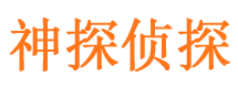 东阿侦探